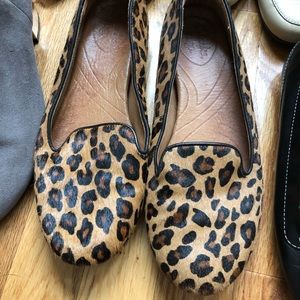 Leopard Clark’s